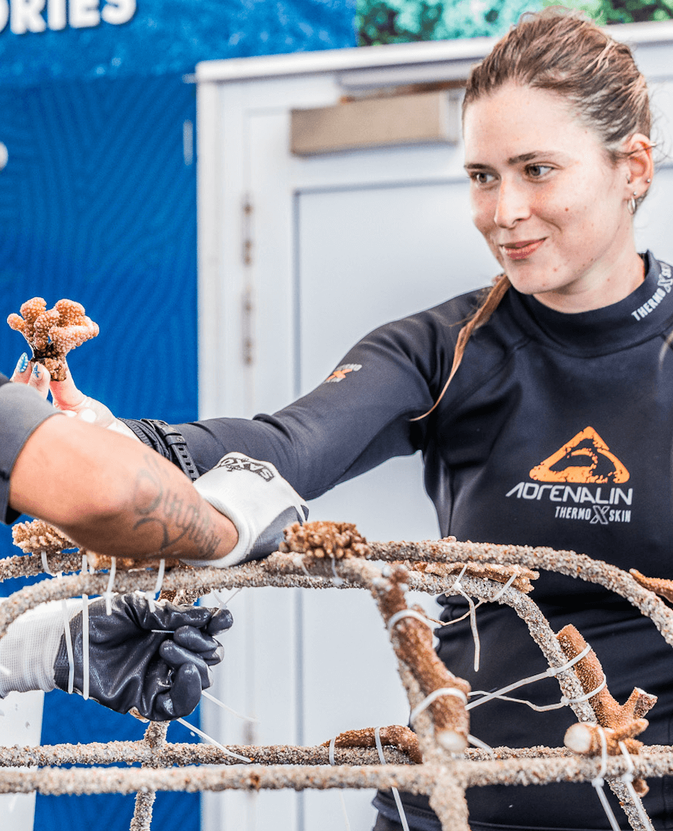 Bex Coral Fragment Reef Star marine biologist